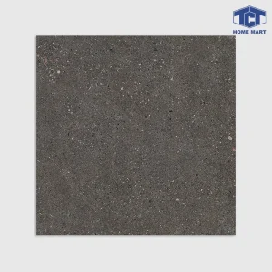 M2.TO.41-C1.131