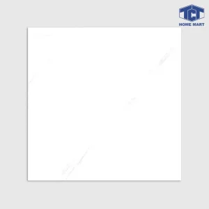 M2.CL.41-C1.146